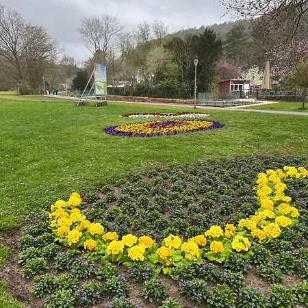 David Im Haus Waldblick - Lejlighed Bad Bergzabern