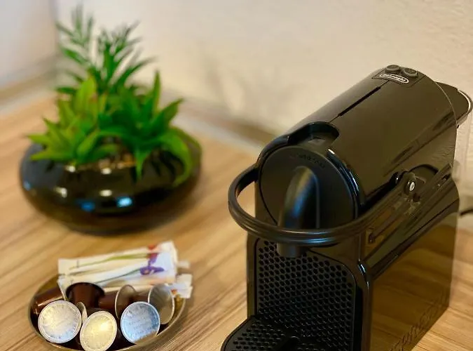 David Im Haus Waldblick - Appartement Bad Bergzabern